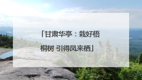 甘肃华亭：栽好梧桐树 引得凤来栖