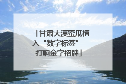 甘肃大漠蜜瓜植入“数字标签” 打响金字招牌