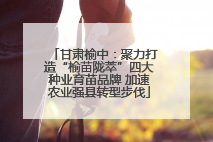 甘肃榆中：聚力打造“榆苗陇萃”四大种业育苗品牌 加速农业强县转型步伐
