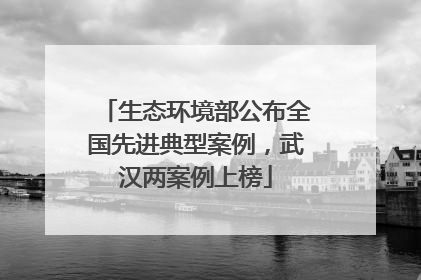 生态环境部公布全国先进典型案例，武汉两案例上榜