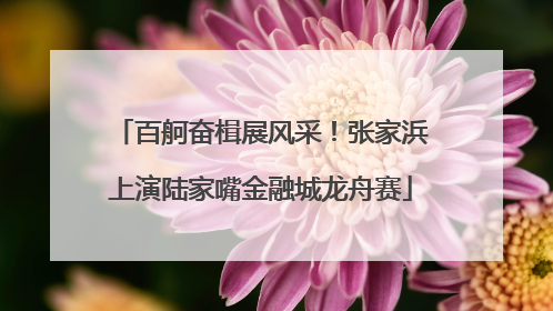 百舸奋楫展风采！张家浜上演陆家嘴金融城龙舟赛