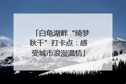 白龟湖畔“绮梦秋千”打卡点：感受城市浪漫温情