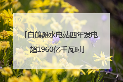 白鹤滩水电站四年发电超1960亿千瓦时