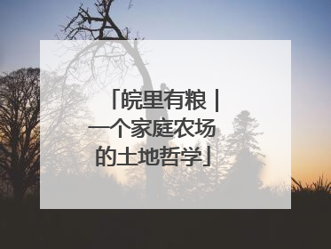 皖里有粮｜一个家庭农场的土地哲学