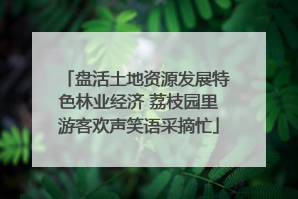 盘活土地资源发展特色林业经济 荔枝园里游客欢声笑语采摘忙