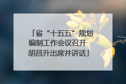 省“十五五”规划编制工作会议召开 胡昌升出席并讲话