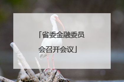 省委金融委员会召开会议