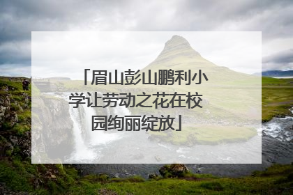 眉山彭山鹏利小学让劳动之花在校园绚丽绽放