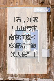 看，江豚！五国专家南京江边考察邂逅“微笑天使”
