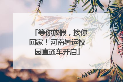 等你放假，接你回家！河南暑运校园直通车开启