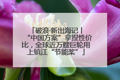 破浪·新出海记丨 “中国方案”拿捏性价比，全球近万艘巨轮用上镇江“节能桨”