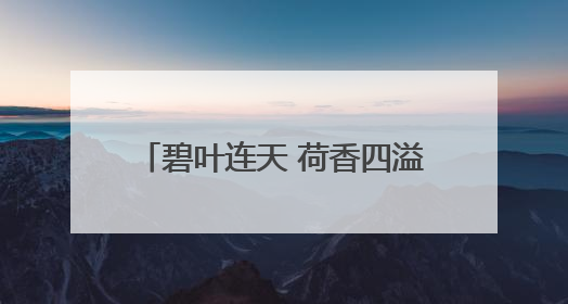 碧叶连天 荷香四溢 石家庄多座城市公园迎来最佳赏荷季