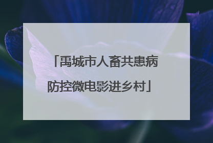 禹城市人畜共患病防控微电影进乡村