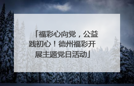 福彩心向党，公益践初心！德州福彩开展主题党日活动