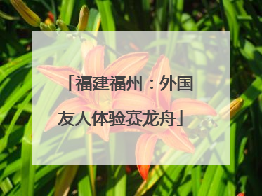 福建福州：外国友人体验赛龙舟