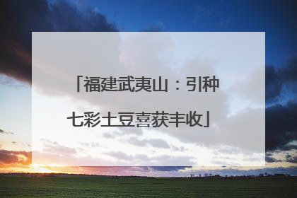 福建武夷山：引种七彩土豆喜获丰收