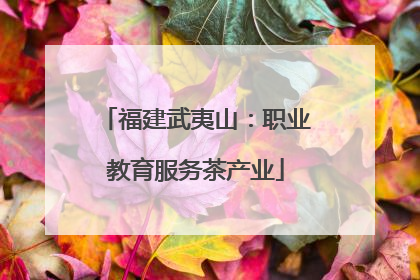 福建武夷山：职业教育服务茶产业