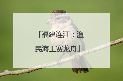 福建连江：渔民海上赛龙舟