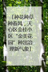 种花种草种春风，天心区金桂小区“金美花园”种出治理新气象