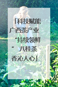科技赋能广西茶产业“持续领鲜” 八桂茶香沁人心
