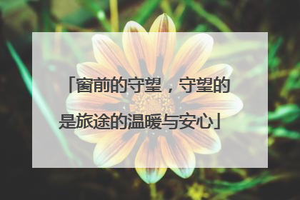 窗前的守望，守望的是旅途的温暖与安心