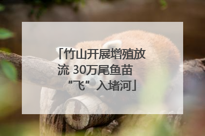 竹山开展增殖放流 30万尾鱼苗“飞”入堵河