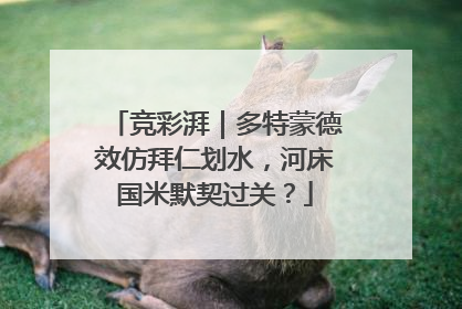 竞彩湃｜多特蒙德效仿拜仁划水，河床国米默契过关？