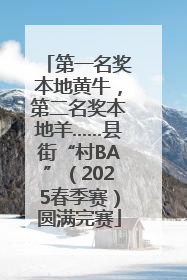 第一名奖本地黄牛，第二名奖本地羊……县街“村BA”（2025春季赛）圆满完赛