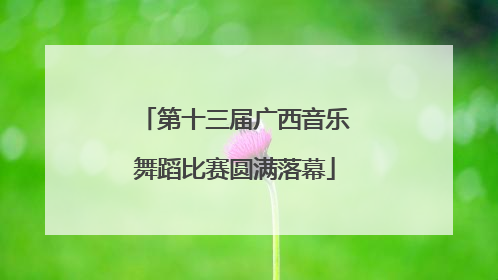 第十三届广西音乐舞蹈比赛圆满落幕