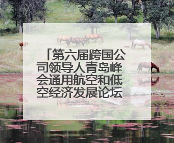第六届跨国公司领导人青岛峰会通用航空和低空经济发展论坛成功举办