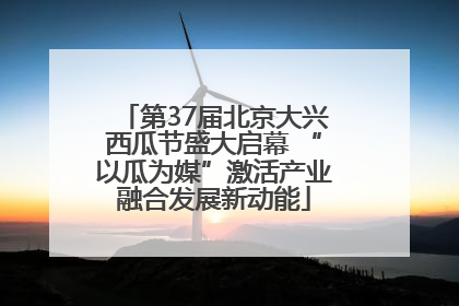 第37届北京大兴西瓜节盛大启幕 “以瓜为媒”激活产业融合发展新动能