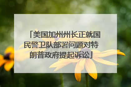 美国加州州长正就国民警卫队部署问题对特朗普政府提起诉讼