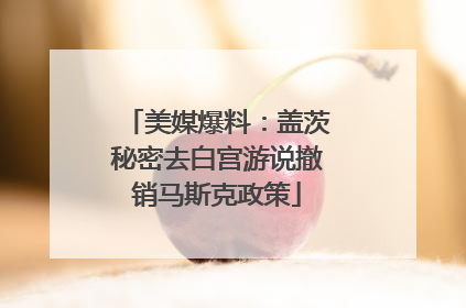 美媒爆料：盖茨秘密去白宫游说撤销马斯克政策