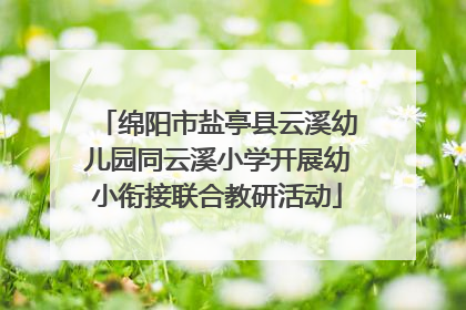 绵阳市盐亭县云溪幼儿园同云溪小学开展幼小衔接联合教研活动
