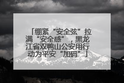 绷紧“安全弦”拉满“安全感”，黑龙江省双鸭山公安用行动为平安“加码”