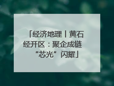 经济地理丨黄石经开区：聚企成链“芯光”闪耀