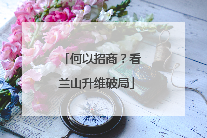 何以招商？看兰山升维破局