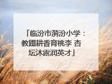 临汾市漪汾小学：教圃耕香育桃李 杏坛沐露润英才