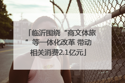 临沂围绕“商文体旅”等一体化改革 带动相关消费2.1亿元