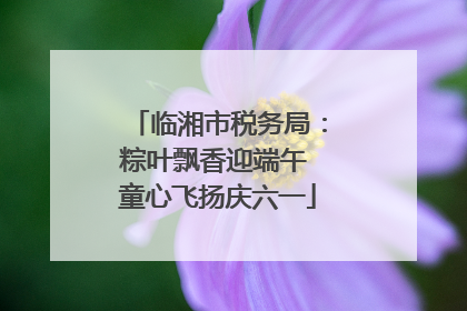 临湘市税务局：粽叶飘香迎端午 童心飞扬庆六一