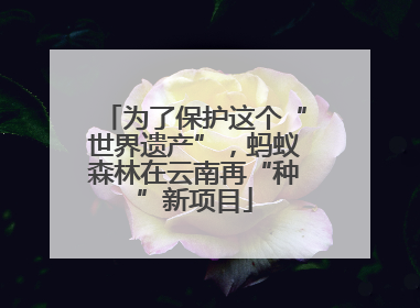 为了保护这个“世界遗产”，蚂蚁森林在云南再“种”新项目