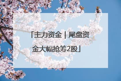 主力资金｜尾盘资金大幅抢筹2股
