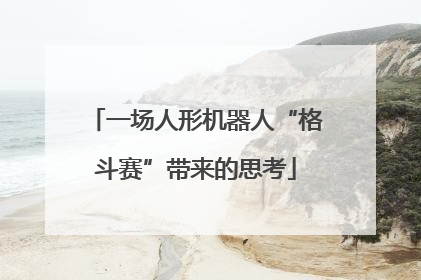 一场人形机器人“格斗赛”带来的思考