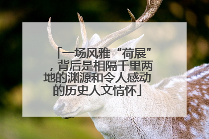 一场风雅“荷展”，背后是相隔千里两地的渊源和令人感动的历史人文情怀