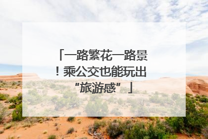 一路繁花一路景！乘公交也能玩出“旅游感”