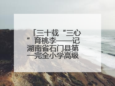 三十载“三心”育桃李——记湖南省石门县第一完全小学高级教师覃玲君