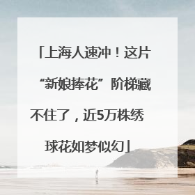 上海人速冲！这片“新娘捧花”阶梯藏不住了，近5万株绣球花如梦似幻