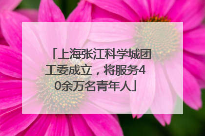 上海张江科学城团工委成立，将服务40余万名青年人