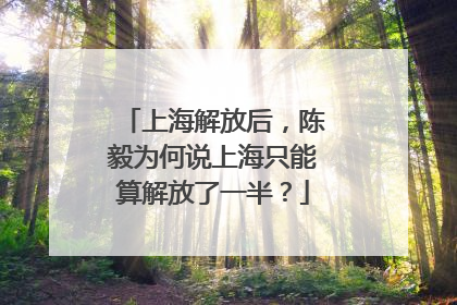上海解放后，陈毅为何说上海只能算解放了一半？