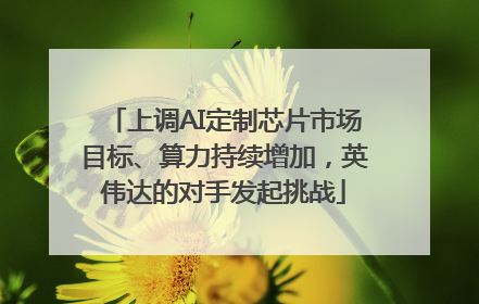 上调AI定制芯片市场目标、算力持续增加，英伟达的对手发起挑战